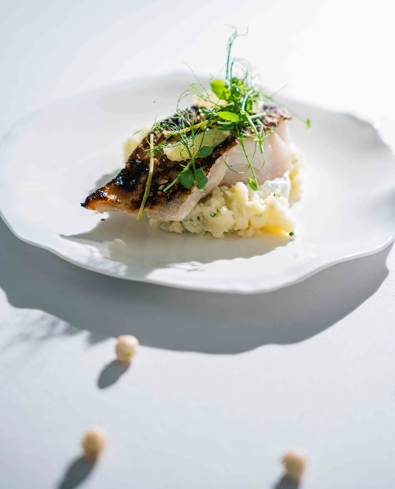 Poisson et jeunes pousses