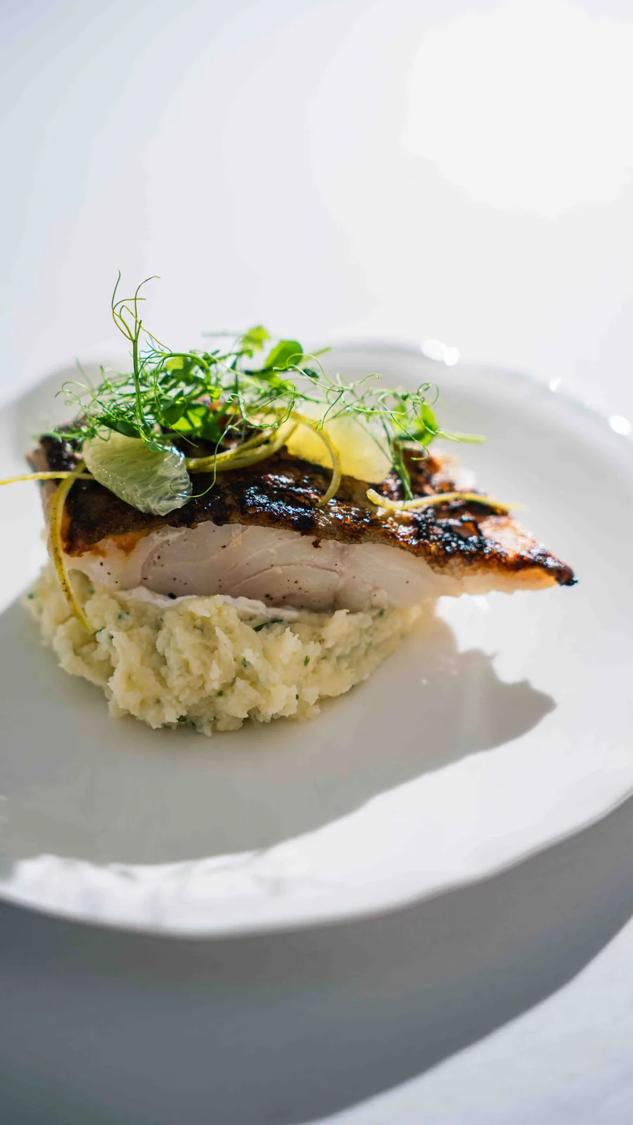Poisson grillé, mousseline
